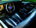 AMC Pacer X 2-Door Sedan 1976 года
